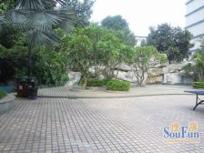 第三金碧花园3室北朝向315.00万元/套出售