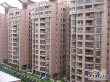 盈锋丽骏豪庭 1室1厅 东南