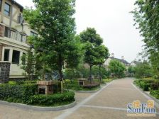 叠加别墅,南北通透,靠近花园,闹中取静