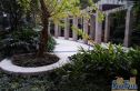 中大君悦金沙四期实景图