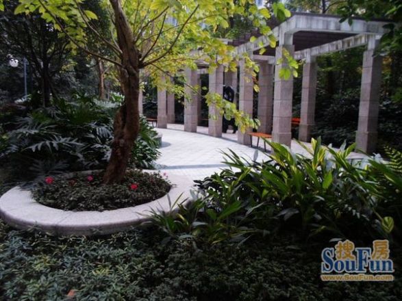 中大君悦金沙四期实景图