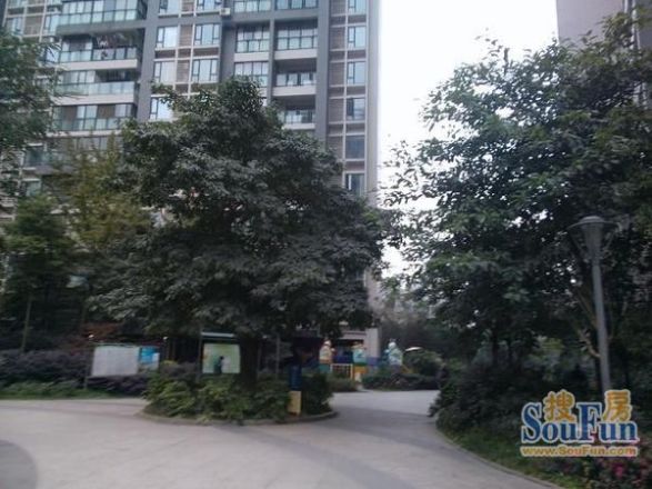 保利御景台实景图