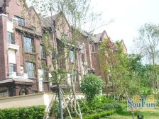 实木风跃层三房双卫,周末可看 居家安静