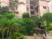 盛世豪庭大三房,满五唯一无欠款