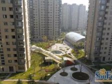 金谊河畔2室南朝向800.00万元/套出售