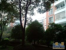 中南世纪城 LOFT公寓楼 没住过 全新 总价低