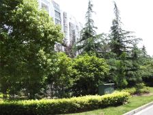 新上两房!中间楼层,花园城旁边看中可以谈