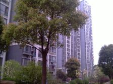 景观房 绿意盎然 采光充足 一梯两户 14号线 成熟配套