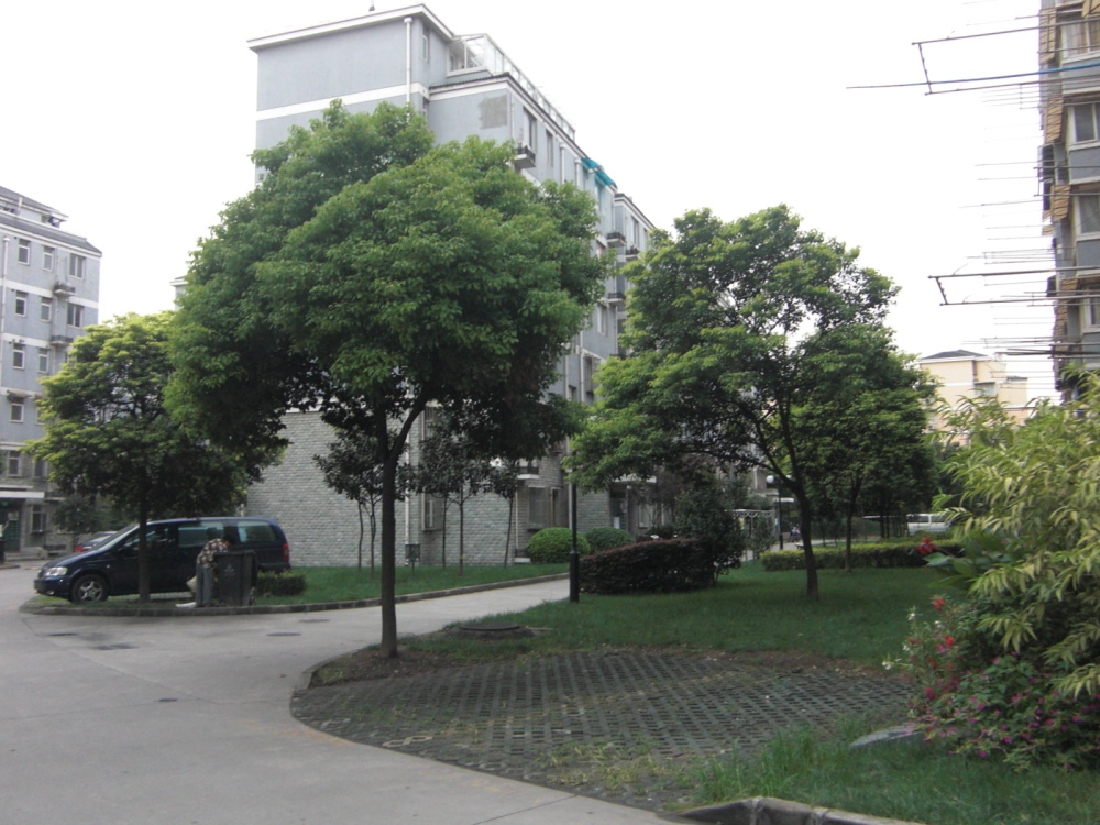 小区相关图