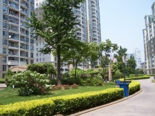 法式小高层,房型正气,精装修,繁华地段,得房率高,双阳台