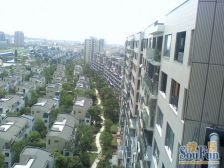 金地湾流域(一期518弄别墅/大洋房) 4室2厅 南 北