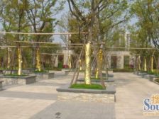 南翔·金地格林世界森林公馆·1室·2厅