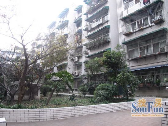 兴蓉公寓实景图