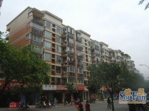 巴黎阳光3室2厅南北