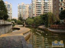 望族新城,房东诚意出售