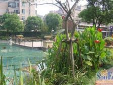 内环内北滨江 低密度 复式花园洋房