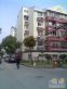 芳华路503弄小区实景图