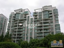 第五大道 1室1厅 南