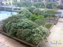 近地铁无抵押,产权清晰电梯房业主诚意