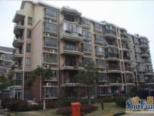 三林·浦发绿城-西泰林路901弄·2室·1厅