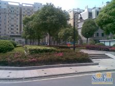 金色中环,电梯中高区,视野无遮挡,俯瞰前滩,西边套