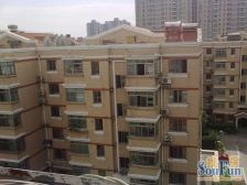 世博地铁口捡bug大两房三T队清流世博轴心配套