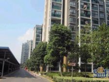 精装 产权清晰,电梯房,新上房源