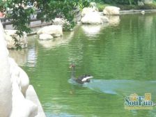 恒大城3室2厅西南东北