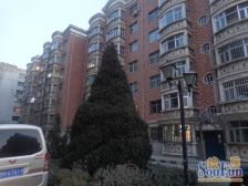 经典好户型,南北通透,中间楼层,楼下就是公园滨河路