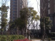 近地铁 刚需上车,电梯房 随时看房,新上房源