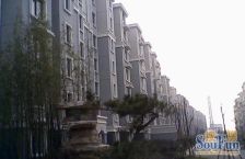 江桥·金鹤新城缘圆宝邸·2室·1厅