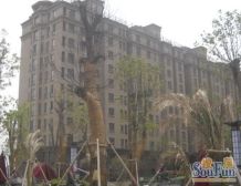 城市嘉苑,联排别墅,有两个车位