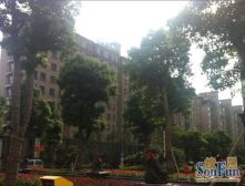 城市嘉苑联排别墅出售毛坯带大院子