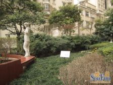 此房业主诚意出售,看房方便,后排南北通安静