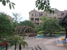 汽博联排+带车位+有花园50平+视野看的出去+价格好商量