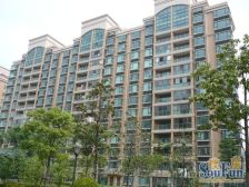 房屋带车位 中间楼层 采光好 不临马路 户型通透正气