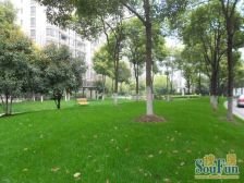 带产权车位 近地铁,无抵押 2梯4户,家具全送 新上房源