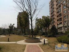 七宝·万科城花新园·3室·2厅