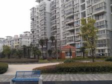 三开间朝南 户型好,楼层好 采光好,位置好