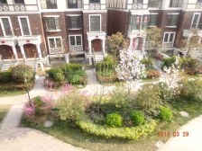 英伦上院 叠加别墅 房东诚心出售