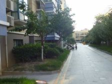 苏建花园城 3室1厅 电梯房 小区环境干净舒适 适合居住