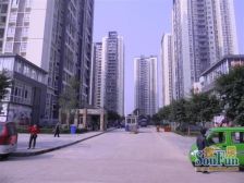 陈家桥 国盛龙腾丰文B区一房