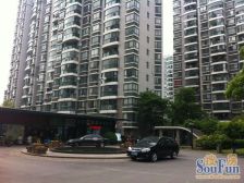 电梯房高区楼层、采光好、全明户型、三房总价低、