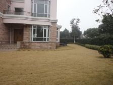 户型方正 近一亩占地 花园集中 房屋保养好