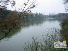 华侨城纯水岸208区5室2厅东南