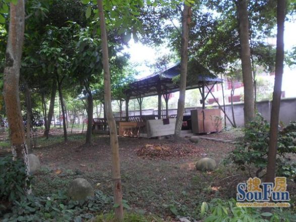 青城家园实景图