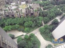 东海阿特豪斯 2室1厅 东南