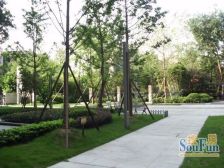 阿卡迪亚一线江景房 无视野遮挡 带露台