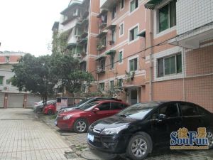 鑫汇丰家园A区3室1厅南