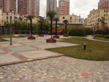 徐汇内环 丝庐花语 南北通透三房 房型正气 采光通风好